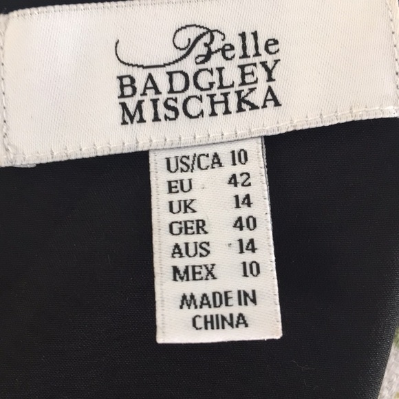 Belle Badgley Mischka lace pleat dress - Picture 7 of 8